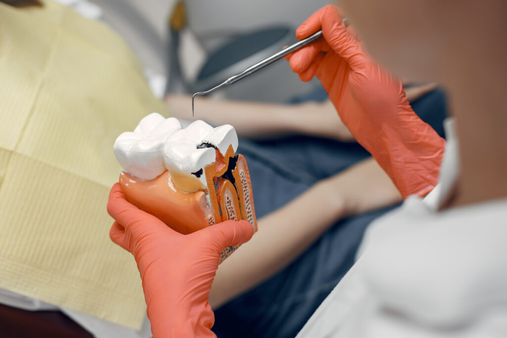 The dentist teaches dental care