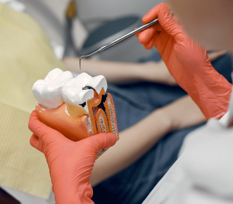 The dentist teaches dental care